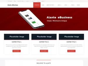 Alante eBusiness