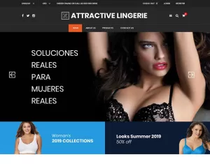 Attractive Lingerie Store PSD Template - TemplateMonster