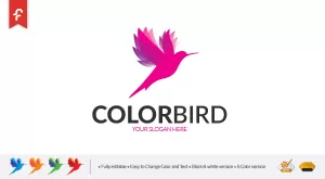 Color - Bird Logo - Logos & Graphics