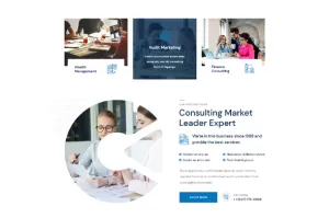 Conult - Consulting Business Elementor Template Kit