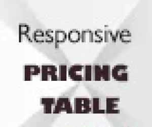 CSS3 Flat Responsive Pricing Table