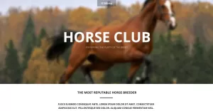 Luxury Horse Breed  Care WordPress Theme - TemplateMonster