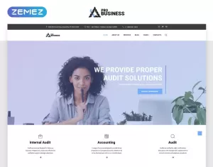 ProBusiness - Elegant Audit Company Multipage HTML Website Template