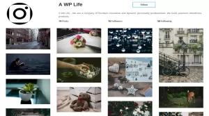 WordPress Instagram Type Gallery - Plugins & Extensions